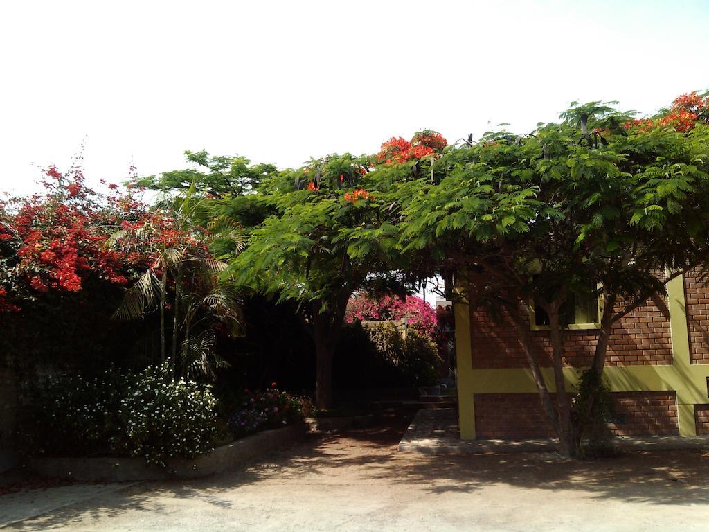 Huaranjapo Bed & Breakfast El Carmen Dış mekan fotoğraf